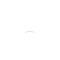 gamesprozone.com